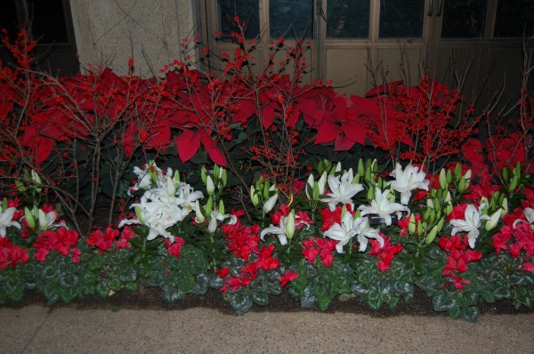 longwood gardens conservatory